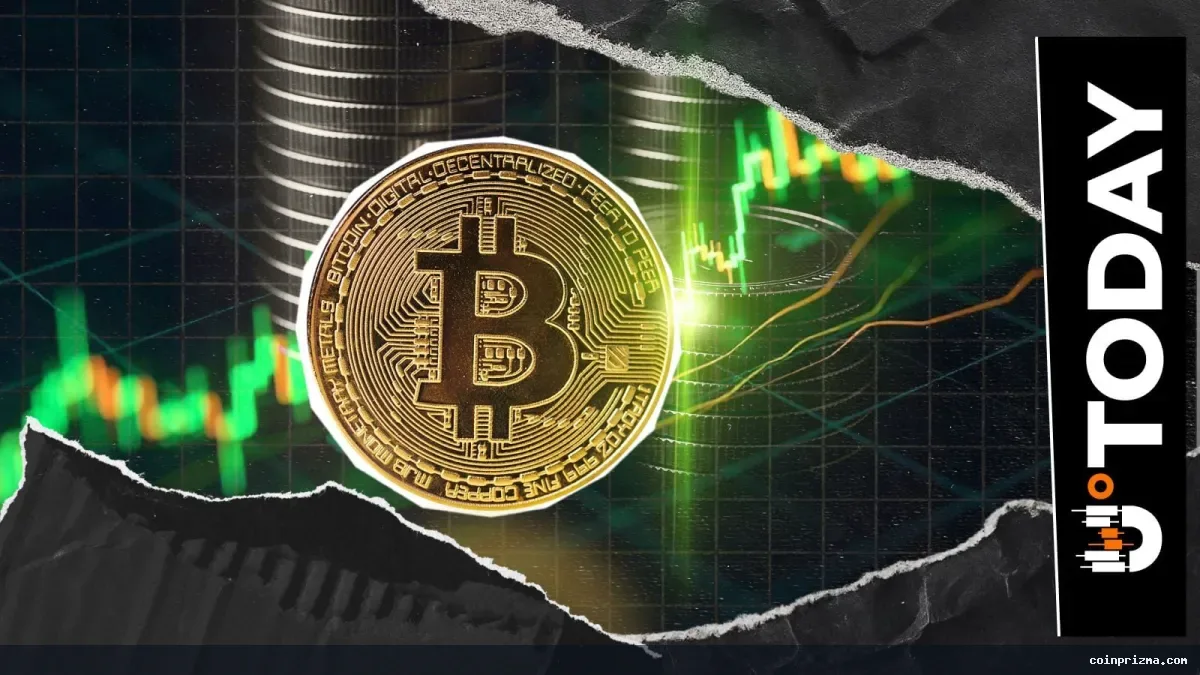 Binance'da Bitcoin Çekimlerinde Beş Aylık Rekor
