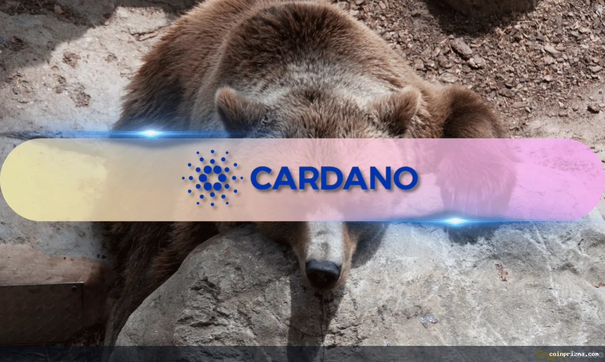 Cardano (ADA), Ayı Pazarında Geri Dönüş Yapıyor