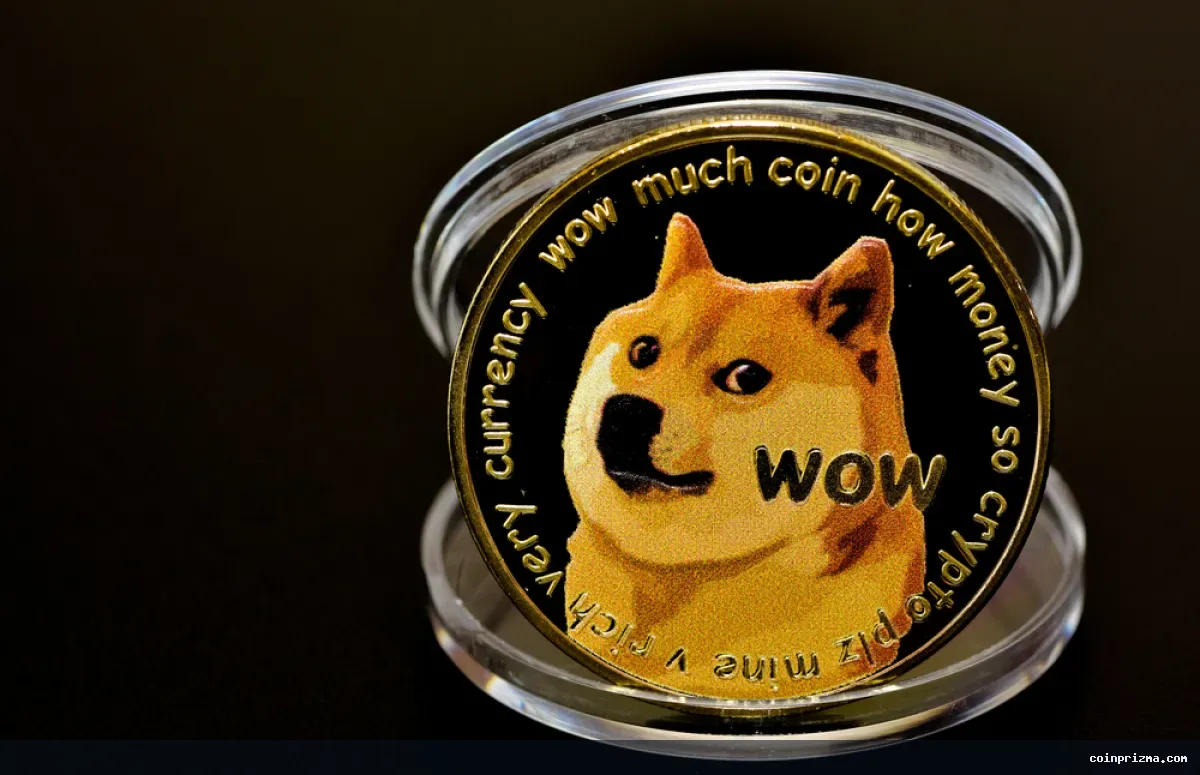 Dogecoin, Yükselen İşlem Hacmi ile Üst Düzey Kripto Paralar Arasında Fark Yaratıyor