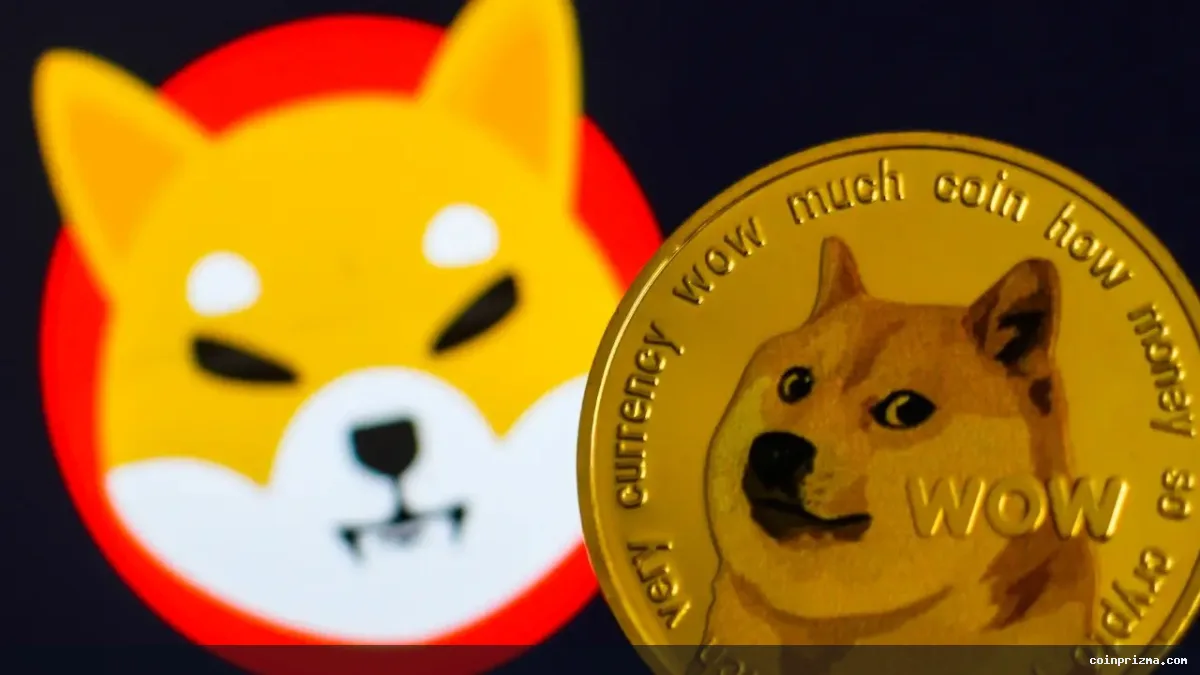 Dogecoin ve Shiba Inu Tartışması Sona mı Erdi?
