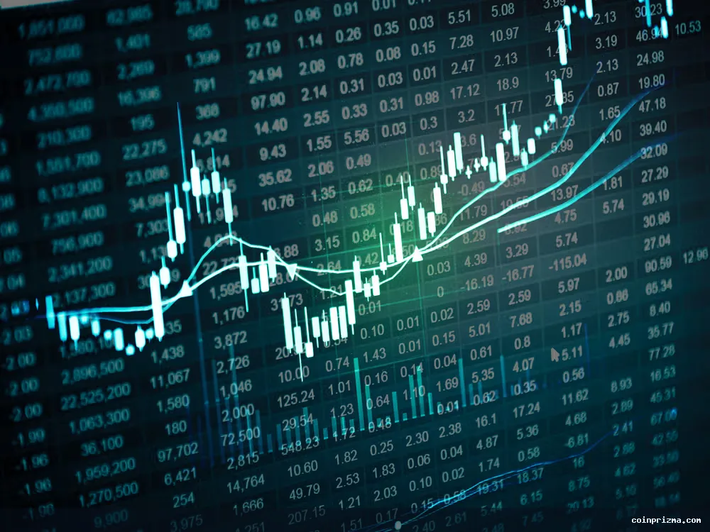 Bitcoin'daki Düşüş: Piyasa Katılımı Durduruldu
