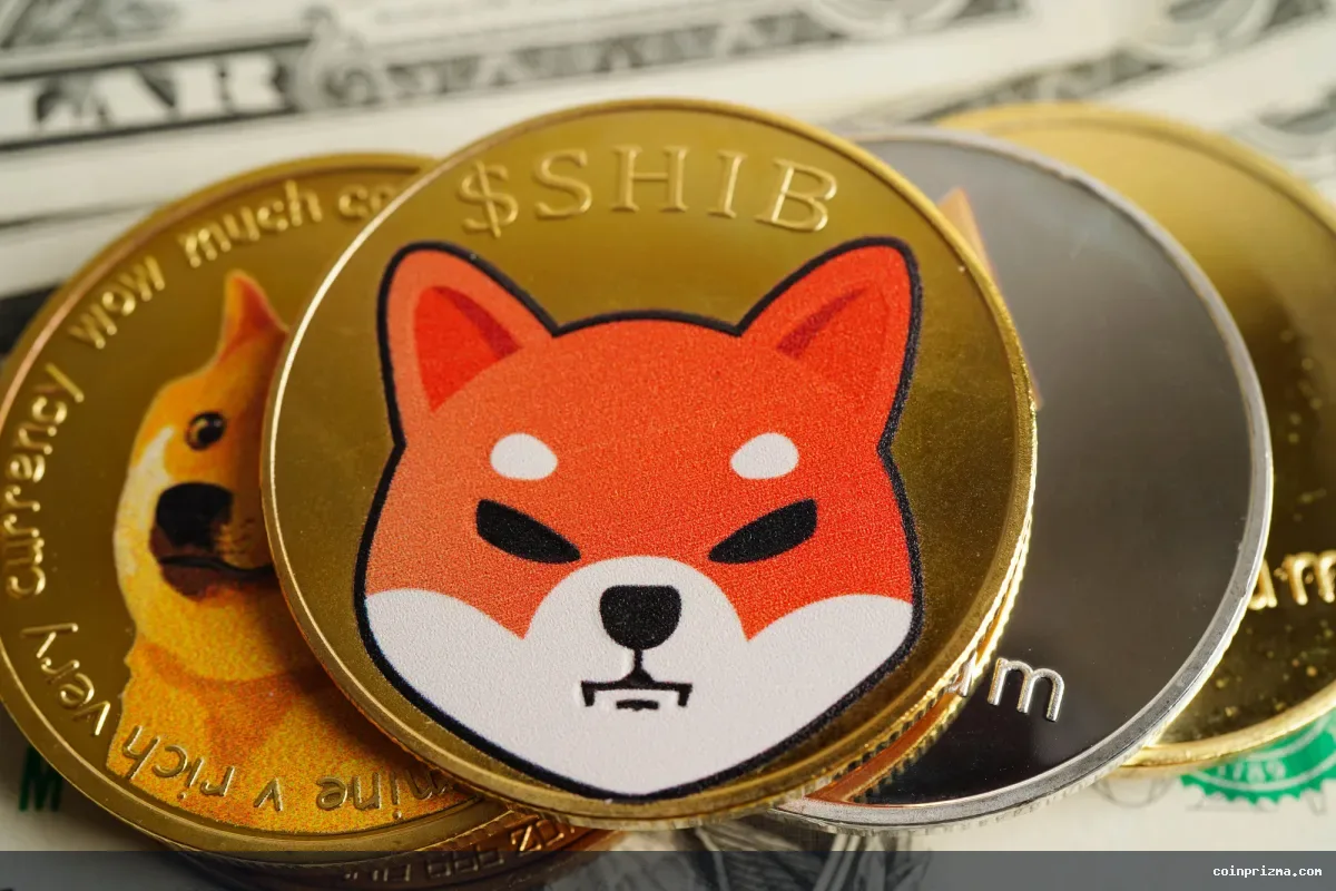 Shiba Inu (SHIB) Japonya'da Önemli Bir Başarı Elde Etti