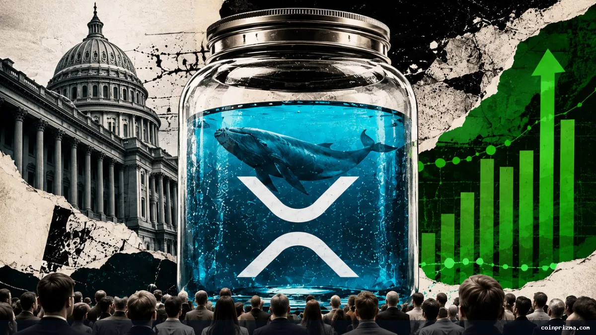 XRP'nin $1.16'lık İyileşmesi, Balinalardan ve $285 Milyonluk ETF Dalgasından Destek Buldu